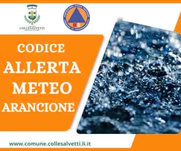 Avviso di criticit regionale: codice arancione e giallo per rischio idrogeologico idraulico reticolo minore e temporali forti. Ordinanza di chiusura delle attivit didattiche, centri diurni e centri per anziani