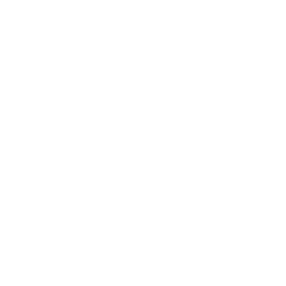 Comune di Collesalvetti