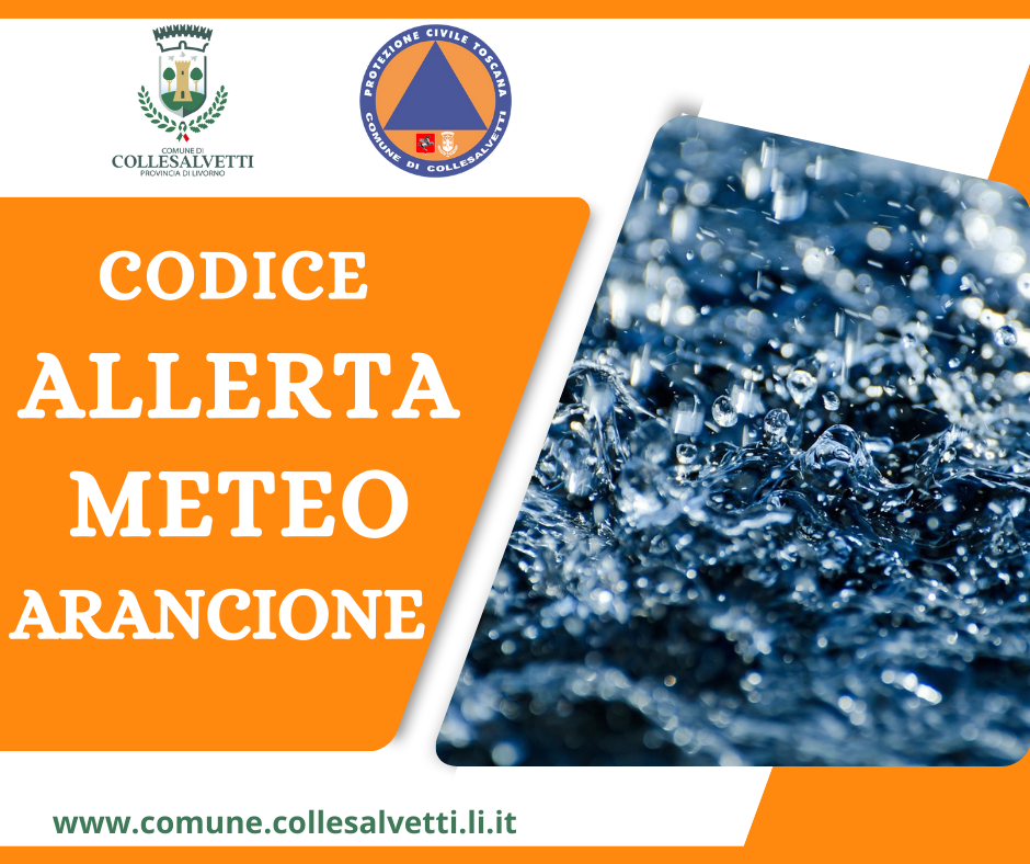 Avviso di criticit: ATTENZIONE codice ARANCIONE e GIALLO - Sospensione delle attivit didattiche, chiusura centri diurni e centri per anziani